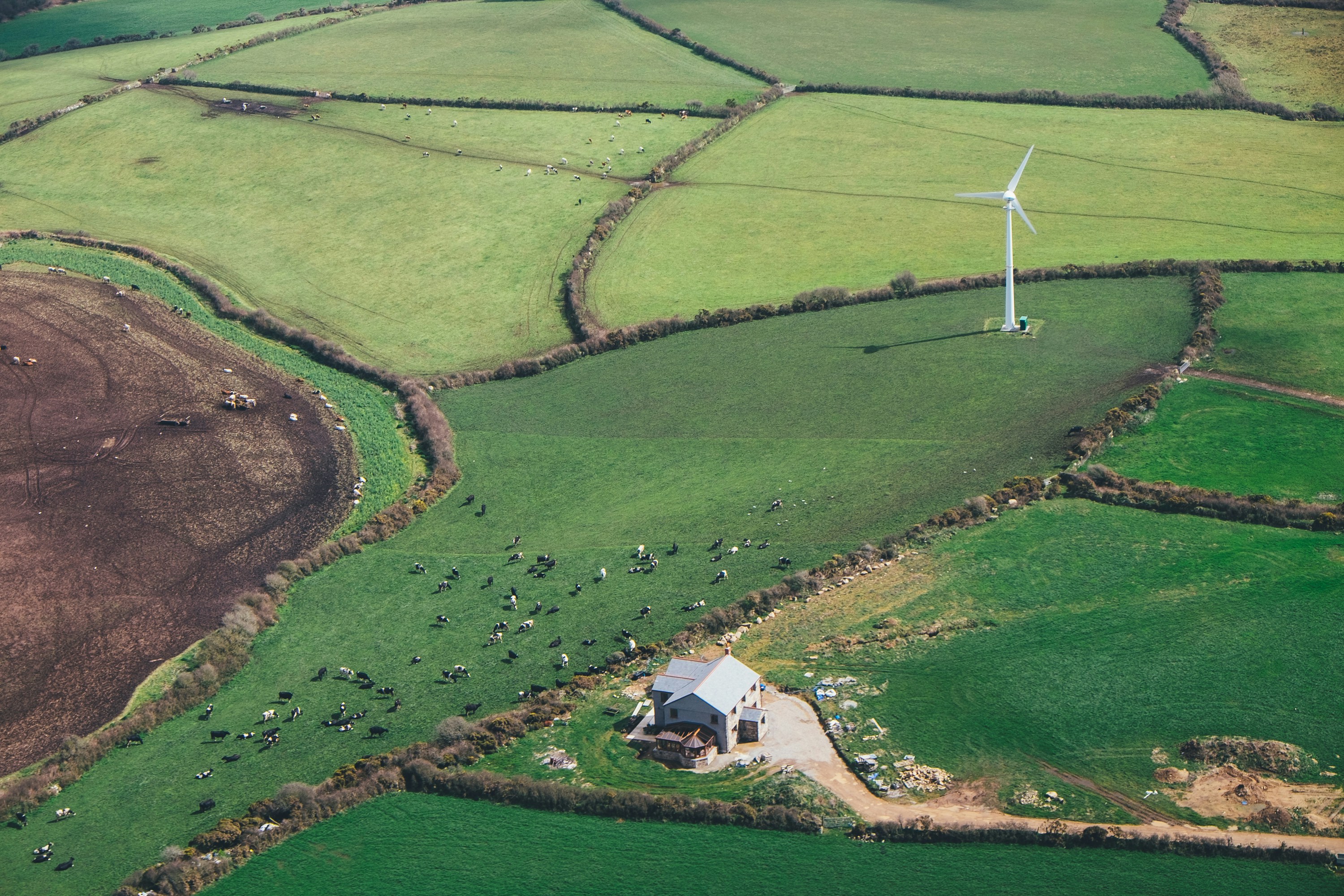 Farm with wind turbine
