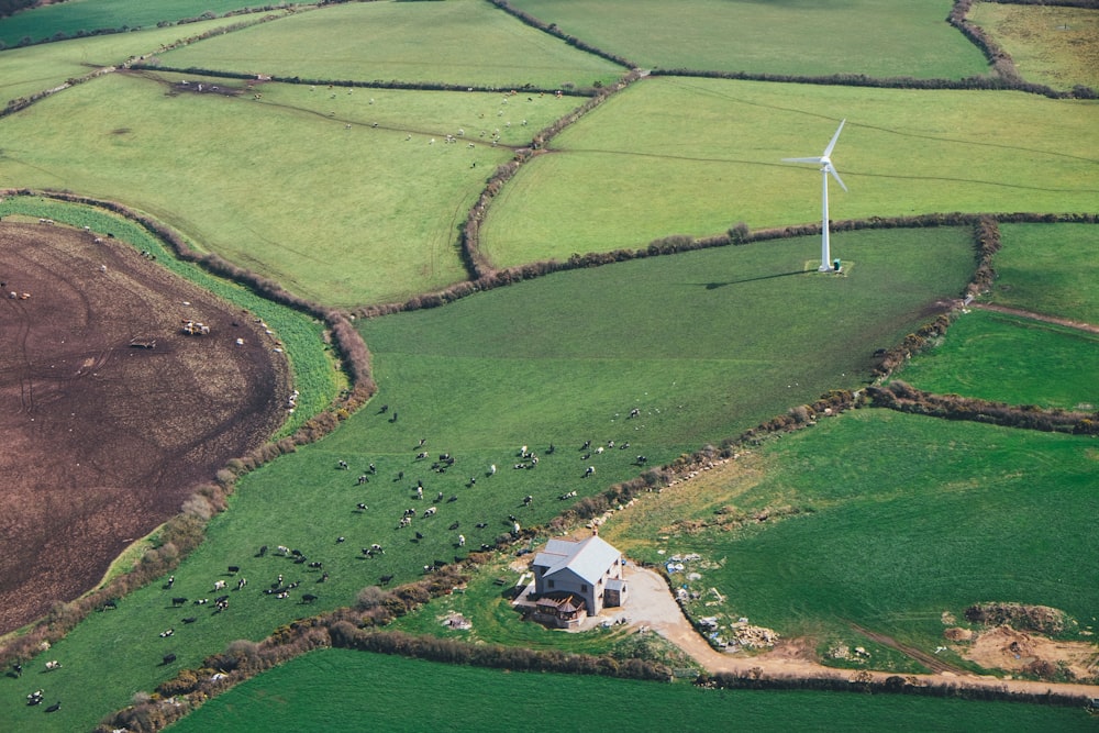 aerial view of house in the middle of rice fields