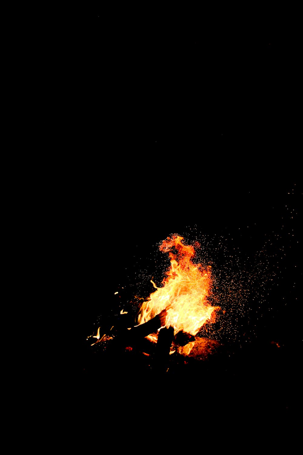 bonfire during night time