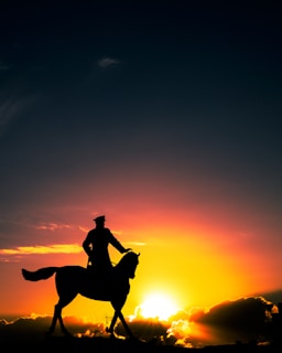 Sunset scene with a rider dressed in stylish Noble Gallop apparel gracefully trotting a horse