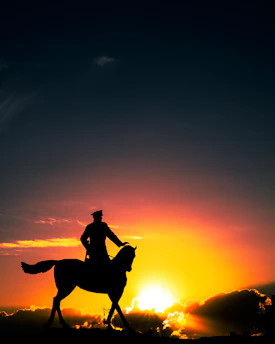 Elegant equestrian rider in a flowing noble gallop outfit, set against a sunset backdrop on a lush green field.