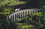 train on bridge surrounded with trees at daytime