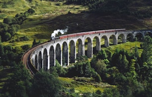 train on bridge surrounded with trees at daytime