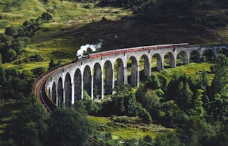 train on bridge surrounded with trees at daytime