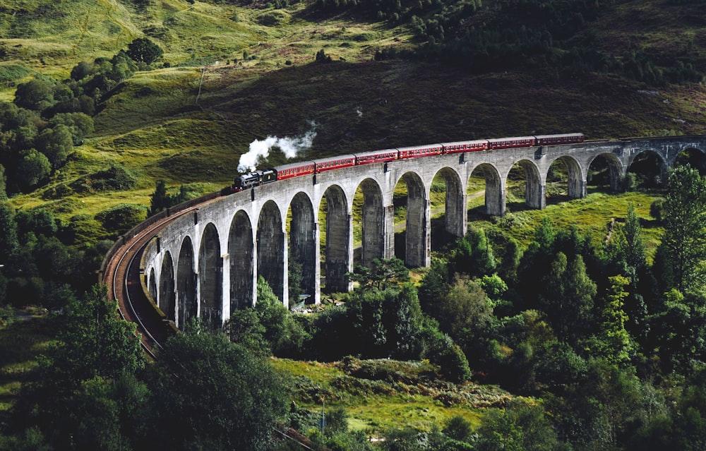 train on bridge surrounded with trees at daytime