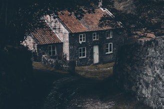 A rustic stone cottage with a weathered red tiled roof is nestled between two stone walls and surrounded by dark, dense foliage. The atmosphere is shadowy and mysterious, with the path leading to the cottage partially obscured by the overhanging branches.