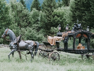 A horse-drawn carriage with ornate decorations sits in a lush, green meadow surrounded by dense forest. The carriage is black with intricate details and lamps adorning the roof. It features an elegant design, and the horse appears to be a statue rather than a live animal. A woven blanket is draped over the carriage, adding to its vintage and antique appearance.