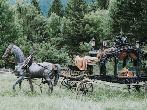 A horse-drawn carriage with ornate decorations sits in a lush, green meadow surrounded by dense forest. The carriage is black with intricate details and lamps adorning the roof. It features an elegant design, and the horse appears to be a statue rather than a live animal. A woven blanket is draped over the carriage, adding to its vintage and antique appearance.