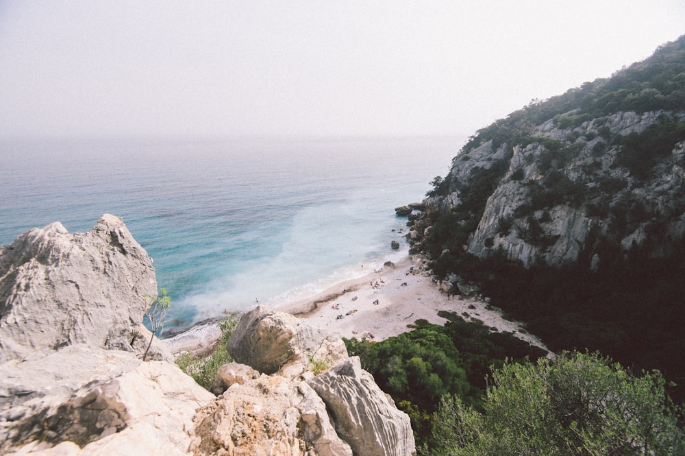 seashore during daytime