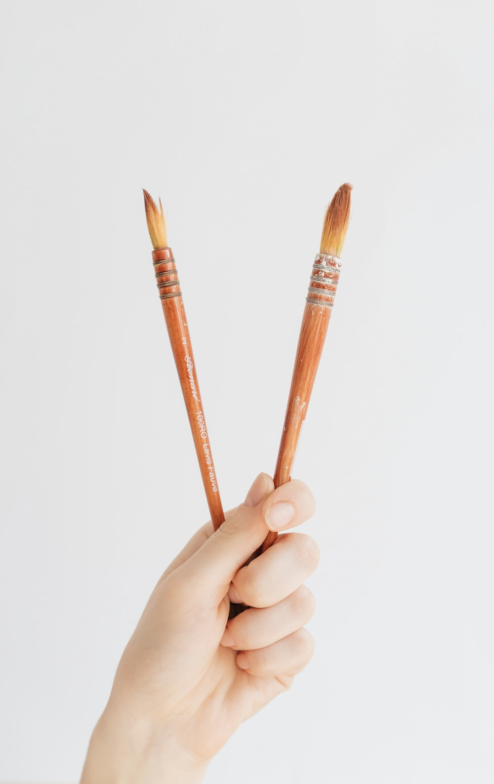 person holding two brown brushes