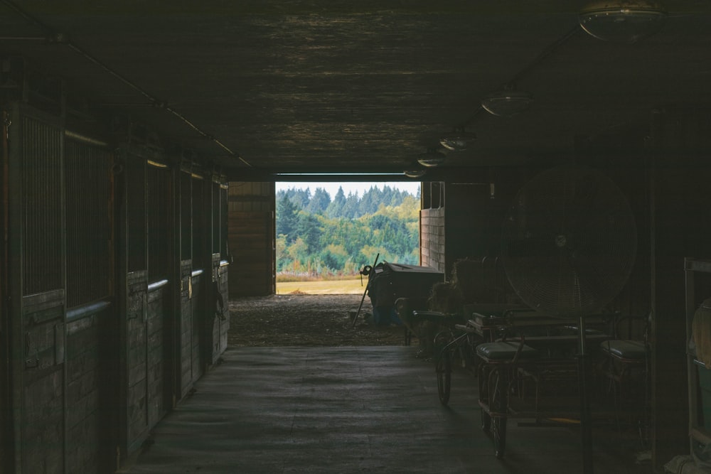 empty barn