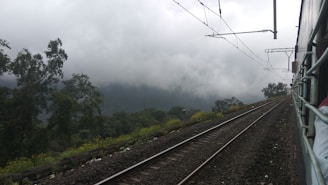 a train traveling down train tracks next to a forest
