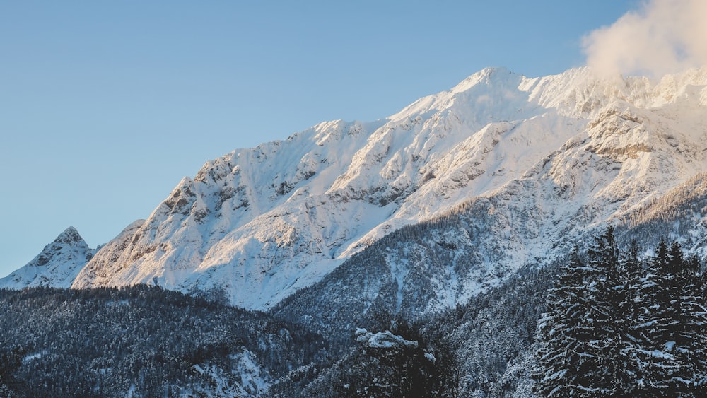 snow-capped mountain under clear sky