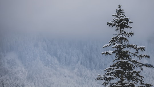 fog over mountain in Innsbruck Austria