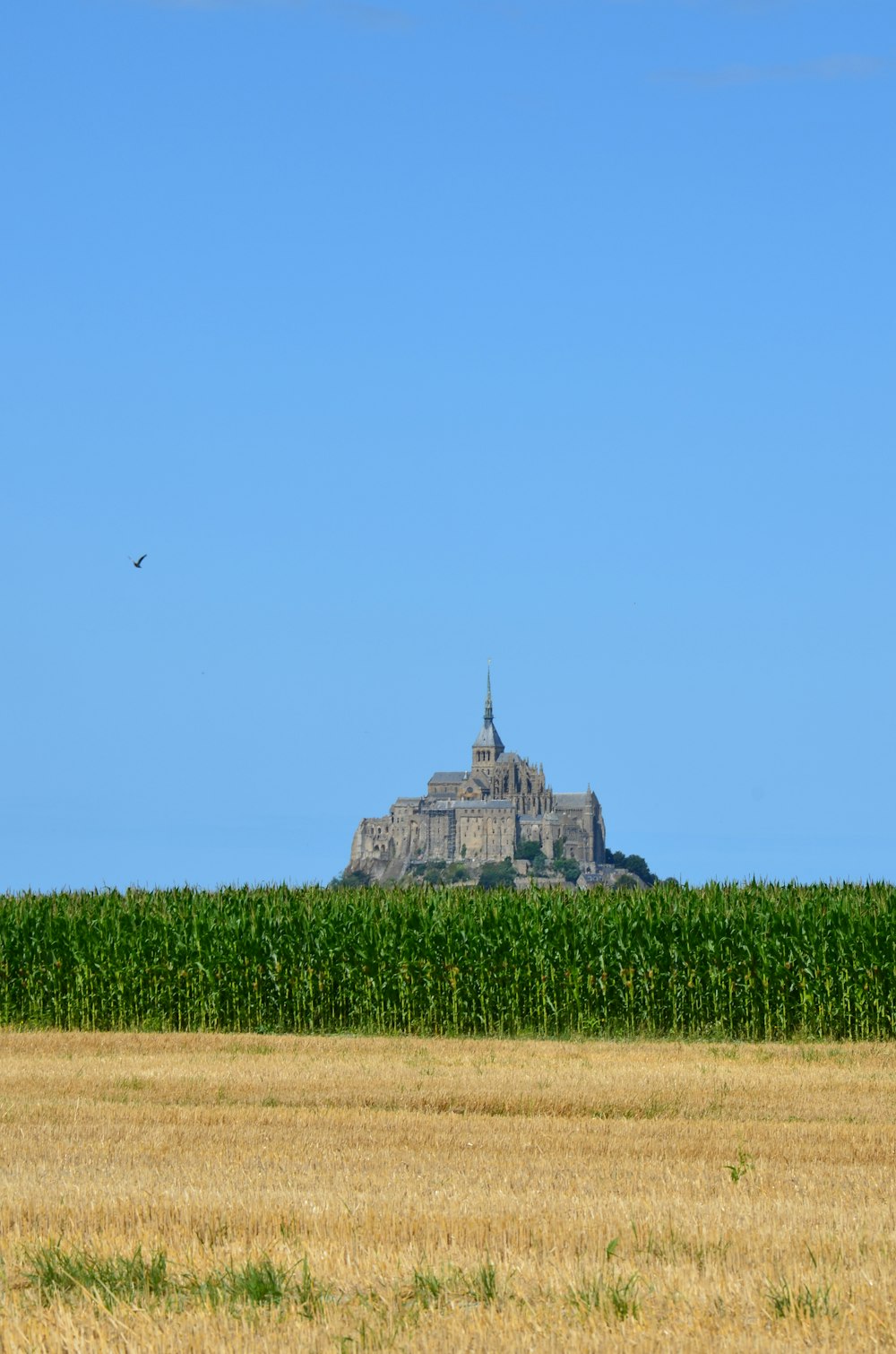 gray castle in front of green field grass taken at daytime