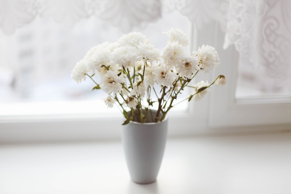 white petaled flower in vase