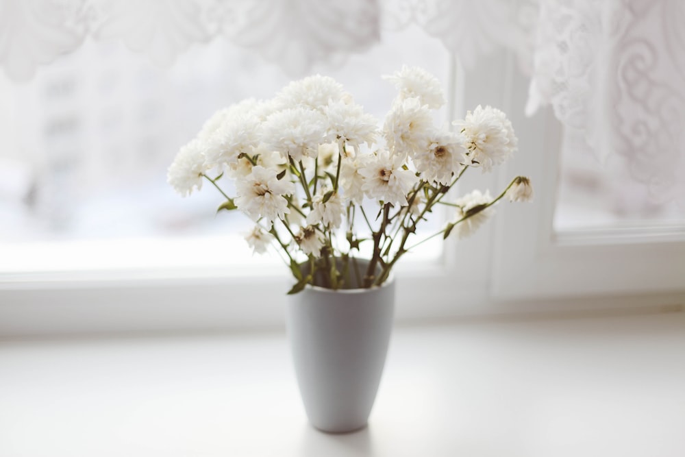 꽃병에 흰 꽃잎 꽃