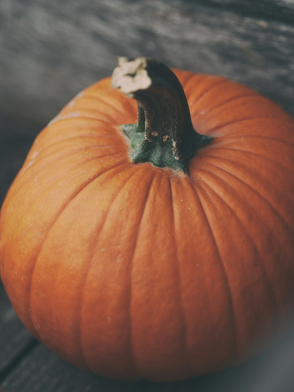 calabaza naranja sobre superficie gris