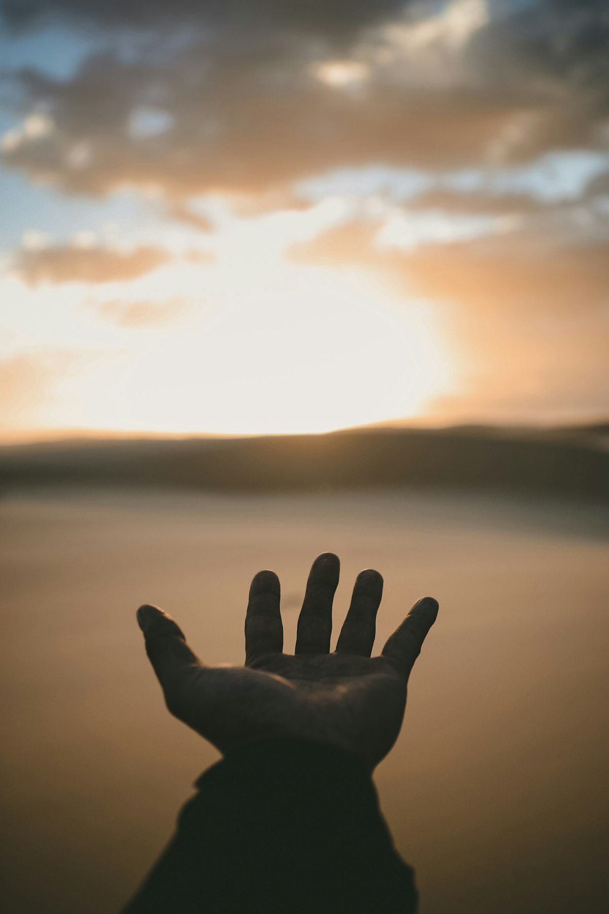 Open hand extended in soft light, giving / open-handed register
