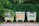 Three recycling bins with signs in a non-English language stand on a paved sidewalk, surrounded by lush green foliage. Each bin has distinct labels: blue, yellow, and green, likely indicating they are for different types of recyclables.