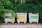 Three recycling bins with signs in a non-English language stand on a paved sidewalk, surrounded by lush green foliage. Each bin has distinct labels: blue, yellow, and green, likely indicating they are for different types of recyclables.
