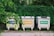 Three recycling bins with signs in a non-English language stand on a paved sidewalk, surrounded by lush green foliage. Each bin has distinct labels: blue, yellow, and green, likely indicating they are for different types of recyclables.