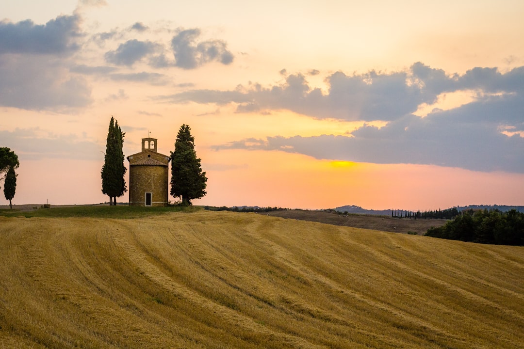 Plain photo spot Val d'Orcia Castiglione d'Orcia