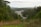 A view of a road under construction cutting through a lush green forest with some vehicles visible on it. The scene is surrounded by dense trees and vegetation, and the sky appears overcast with hills visible in the distance.