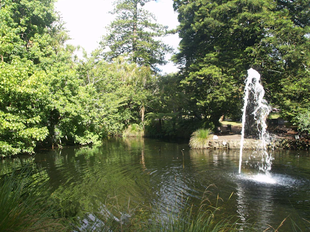 A reflective pond surrounded by lush greenery supporting local wildlife at Ostrander Park.