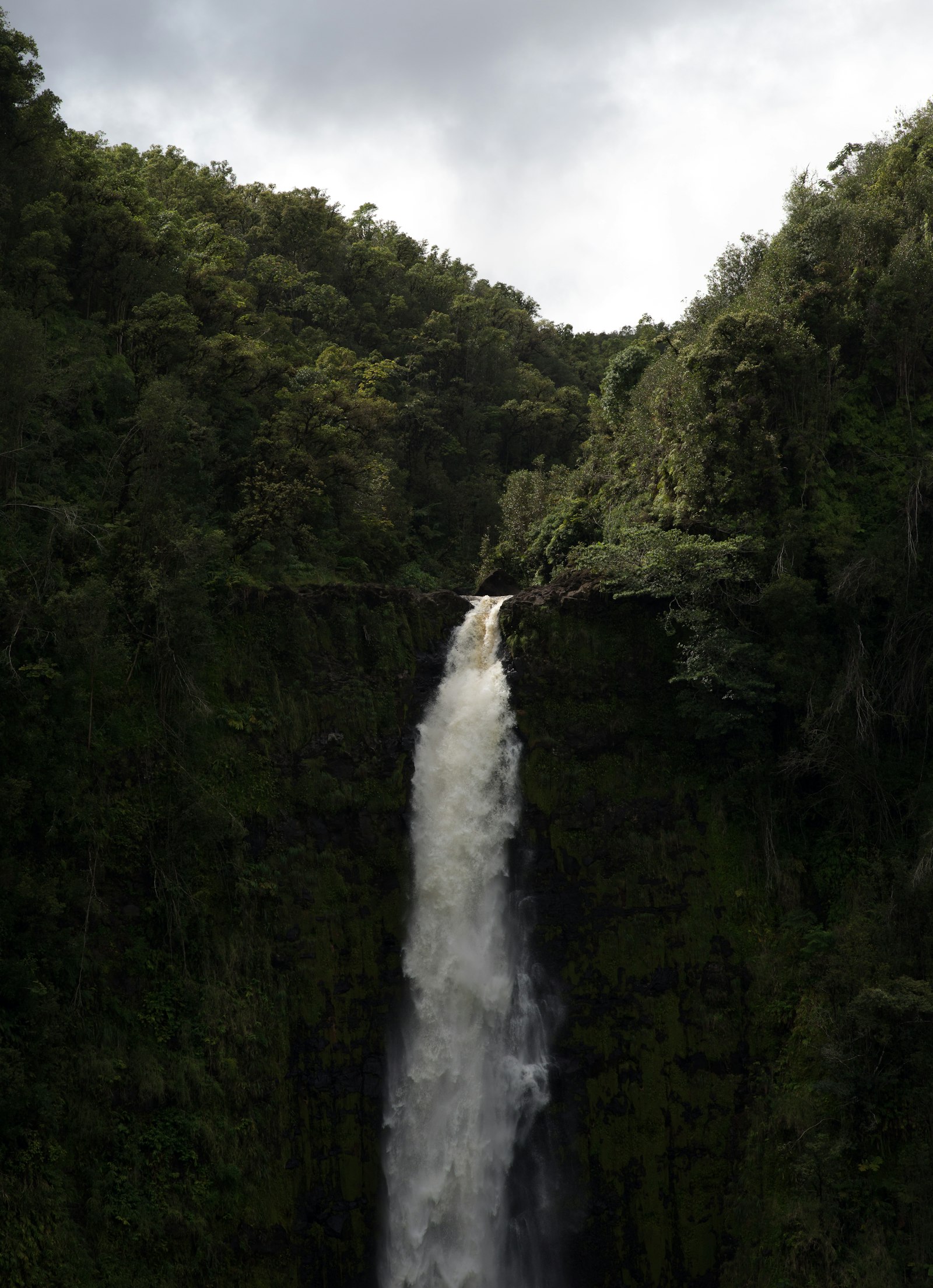 ZEISS Planar T* 85mm F1.4 sample photo. Running water between trees photography