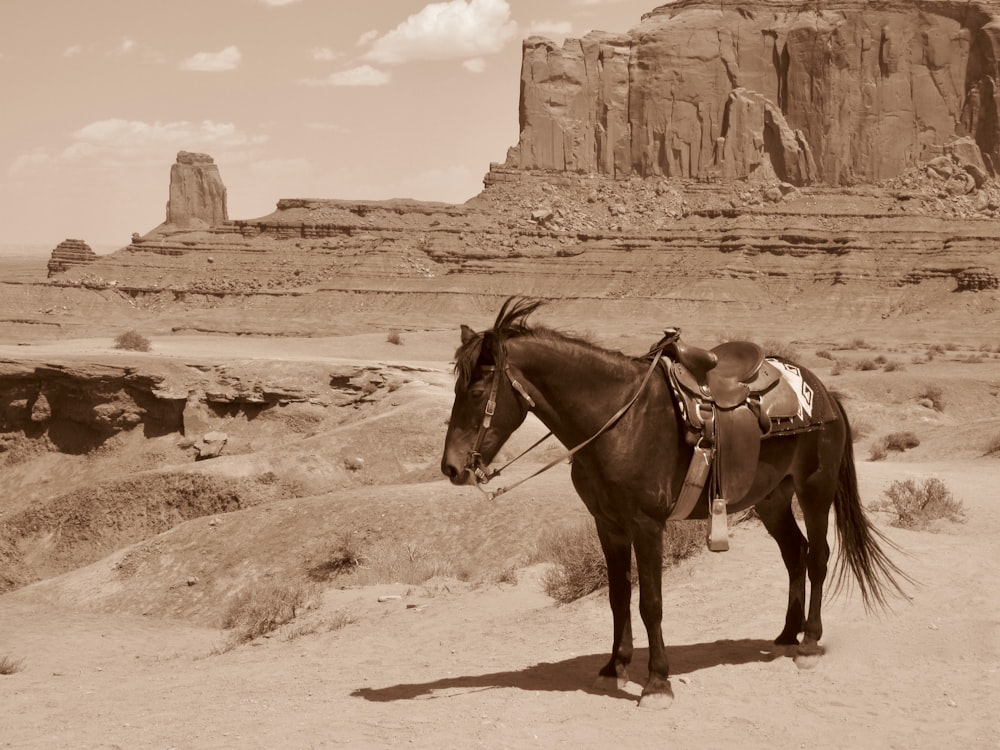 sepia scale of hors