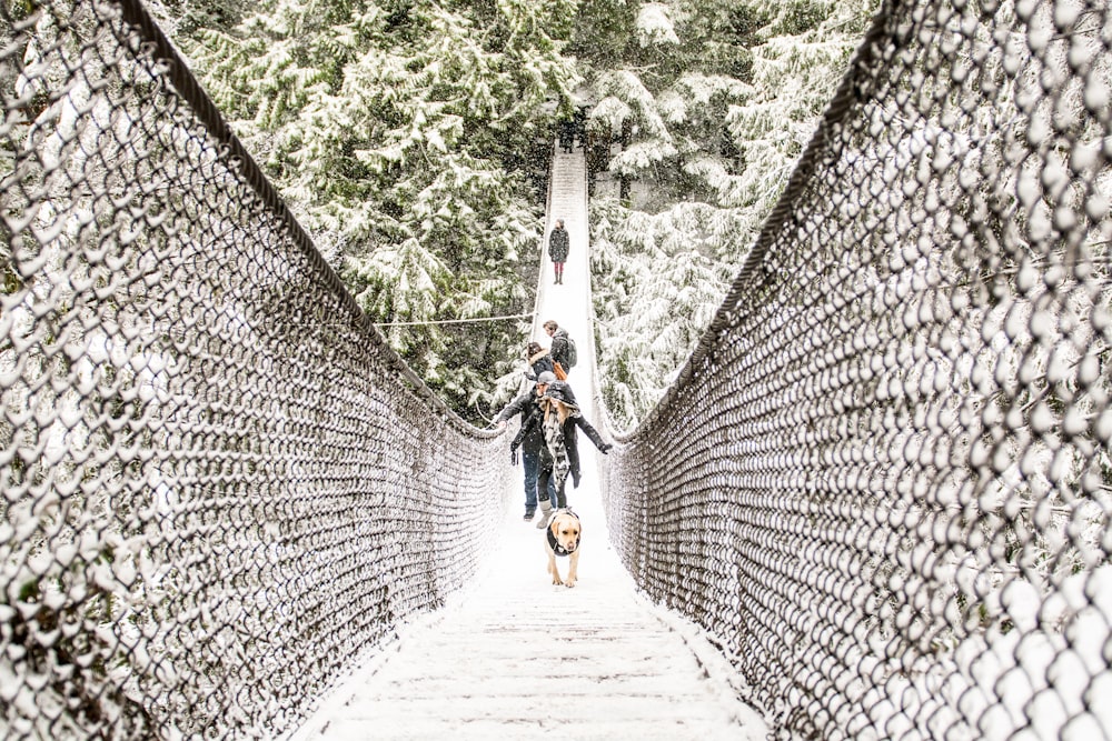 people walking on hanging bridge