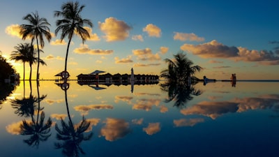 body of water under white sky maldives zoom background