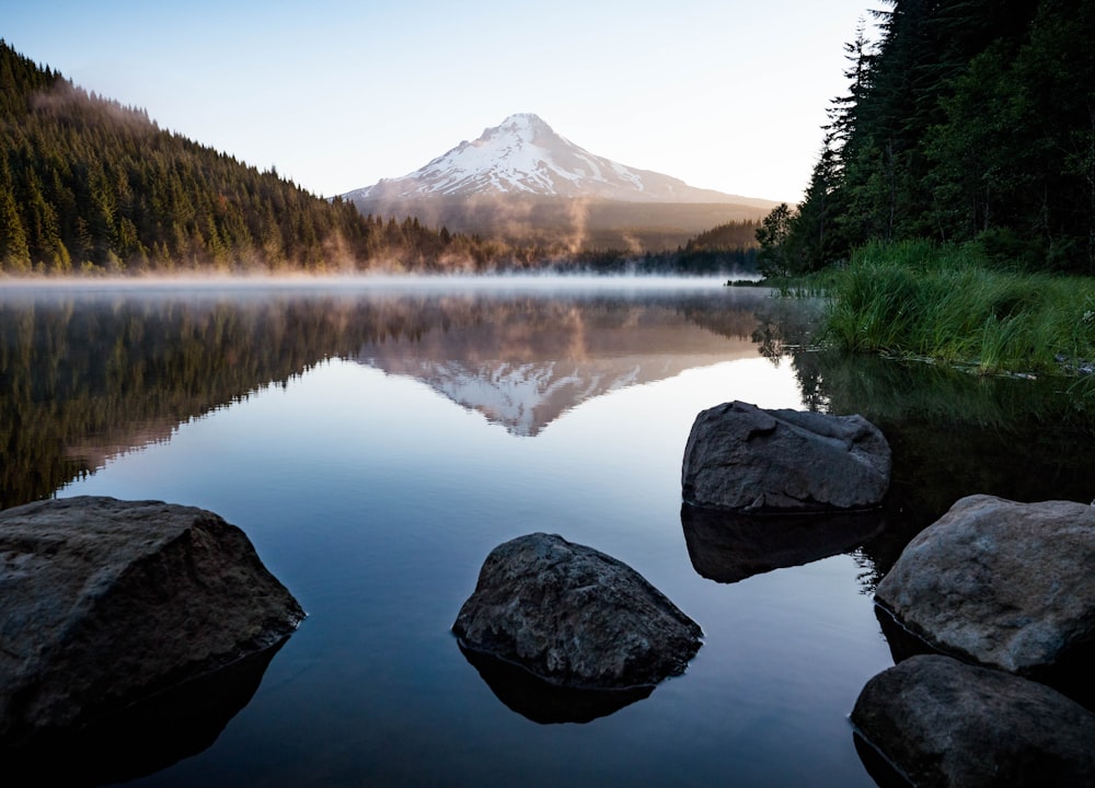 Plan d’eau calme avec des rochers près des arbres et de la montagne