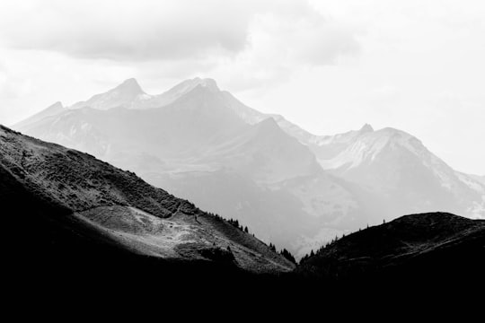 fog covered mountain during daytime in Hasliberg Switzerland