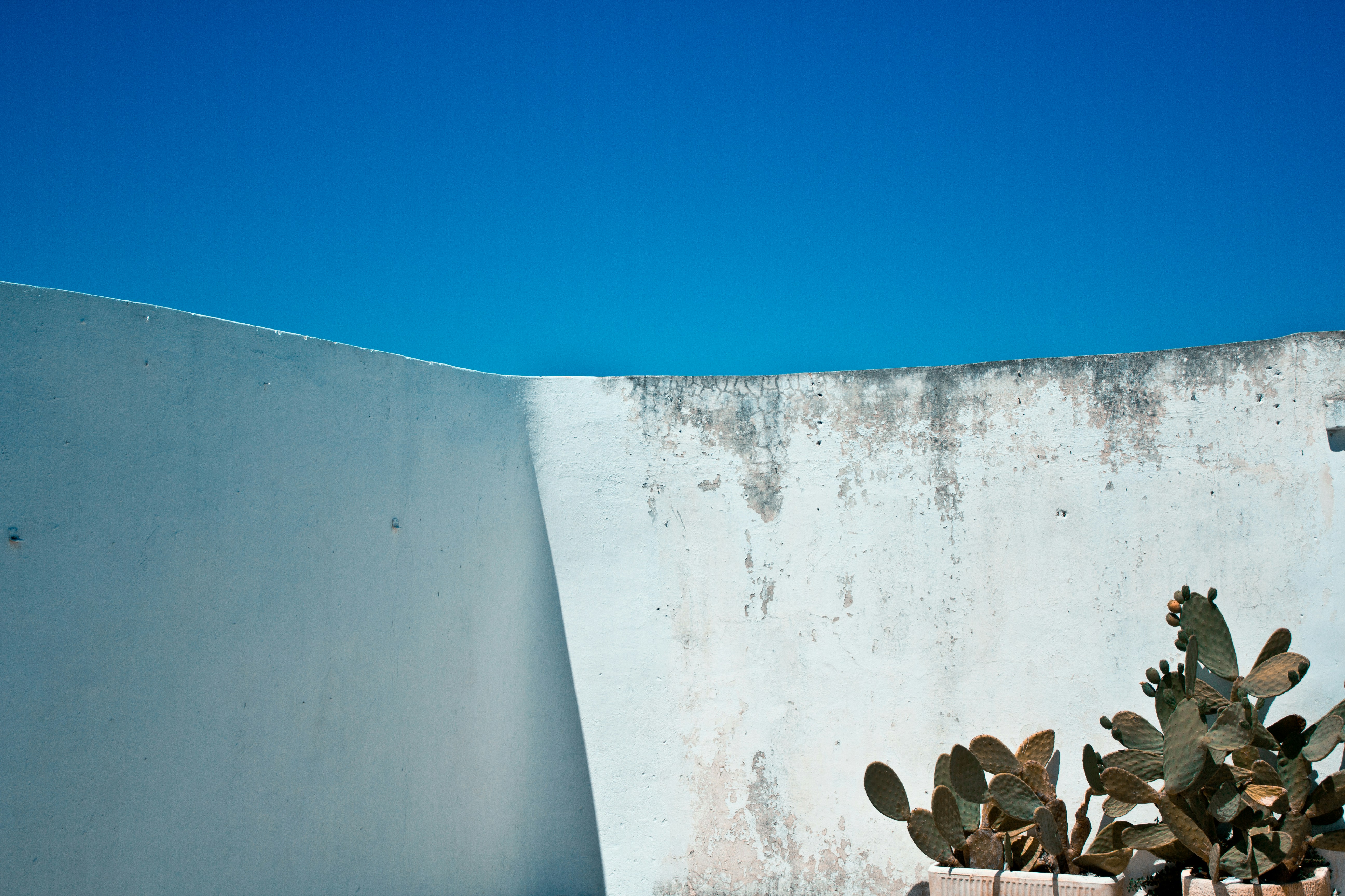 Photo by giovannicalia