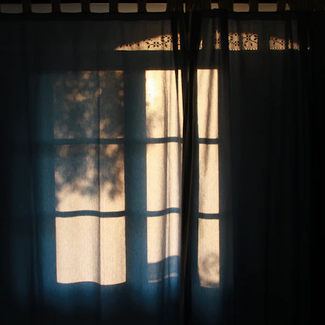 Soft sunlight filtering through green leaves outside the therapy space, casting peaceful shadows.