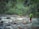 A person with a green backpack walks on a narrow makeshift bridge made of wooden planks and ropes across a fast-flowing river. The river is surrounded by lush green vegetation and large rocks, creating a sense of adventure and connection with nature.