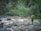 A person with a green backpack walks on a narrow makeshift bridge made of wooden planks and ropes across a fast-flowing river. The river is surrounded by lush green vegetation and large rocks, creating a sense of adventure and connection with nature.