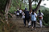 A group of people are walking along a forested path. The path is surrounded by lush greenery and large trees. Some individuals carry bags and wear casual outdoor clothing. The setting appears calm and natural, indicating a hike or outdoor walk.