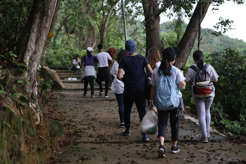 A group of people are walking along a forested path. The path is surrounded by lush greenery and large trees. Some individuals carry bags and wear casual outdoor clothing. The setting appears calm and natural, indicating a hike or outdoor walk.