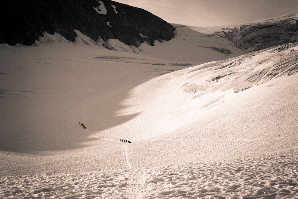 scenery of mountain covered with snow