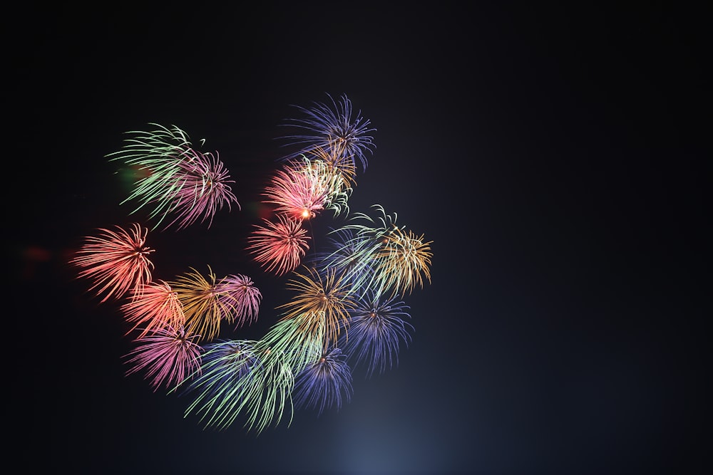 Fuegos artificiales de colores variados por la noche