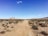A desert landscape with a dirt path leading through sparse vegetation under a clear blue sky. In the distance, a colorful art installation featuring stacked boulders painted in bright colors stands out against the barren terrain. Mountains are visible on the horizon.