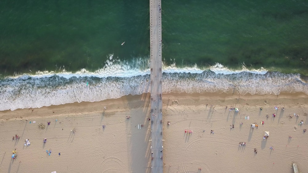 Vogelperspektivenfotografie von Menschen am Strand