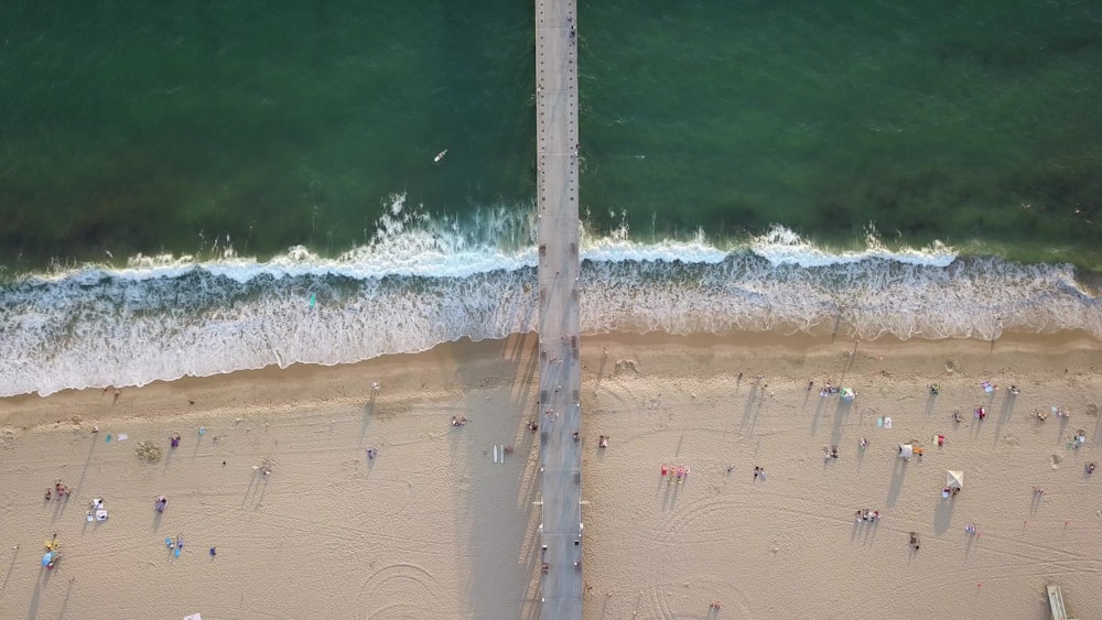 bird's eye photography of people at beach