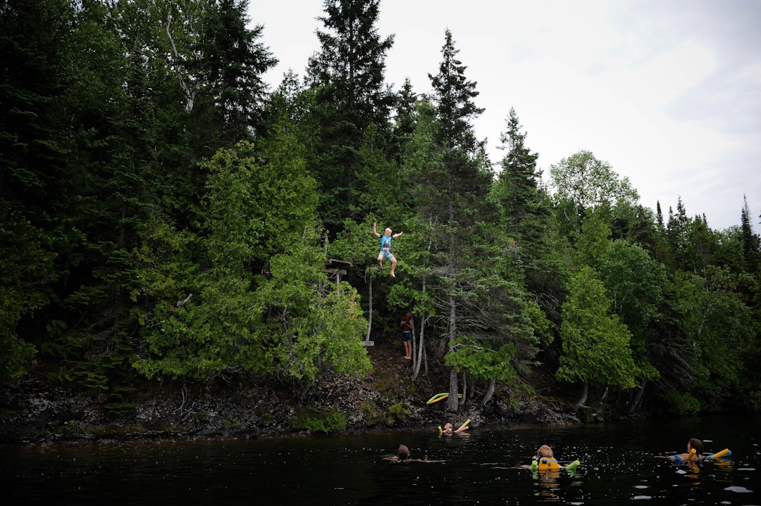 Forest photo spot Bancroft 18 Response St