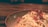 Close-up of a home-cooked meal served on a rustic wooden table.