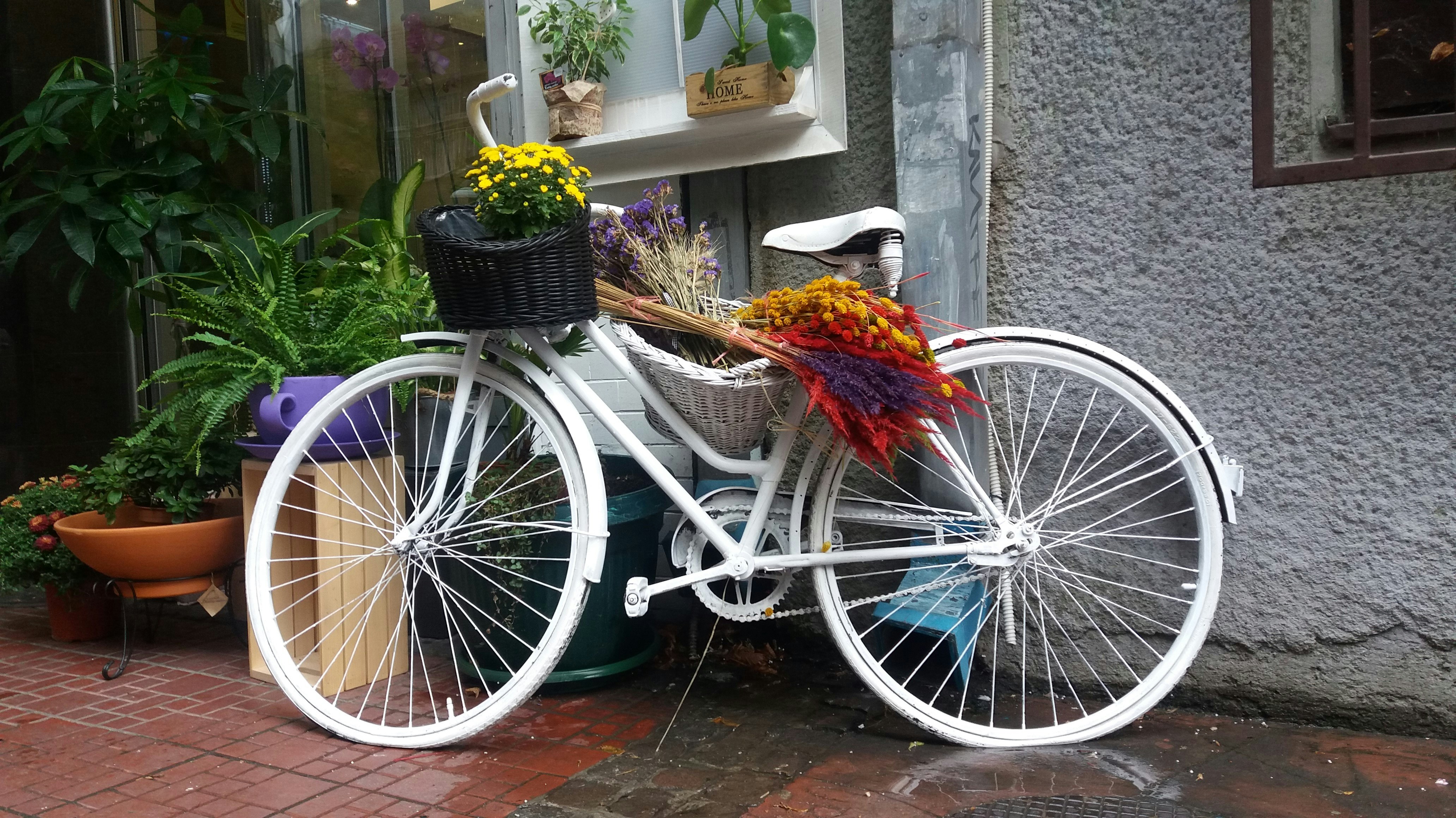 The Inheritance Dilemma: Managing Sentimental Clutter from Family