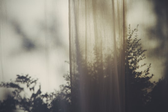 mesh curtain near tree in Saulny France